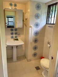 Pine Grove (D21), Condominium #532623271